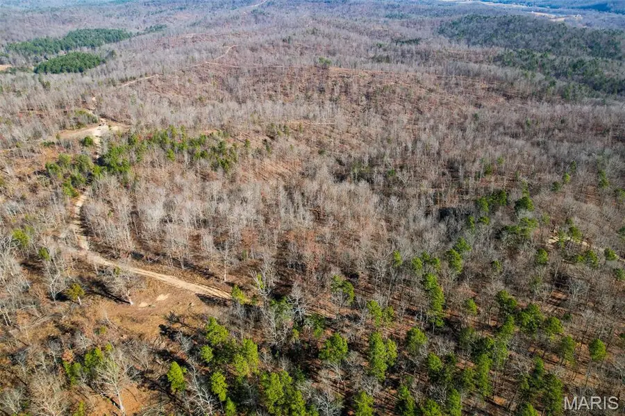 131 Madison Cr 411, Fredericktown, MO 63645 - Image #2