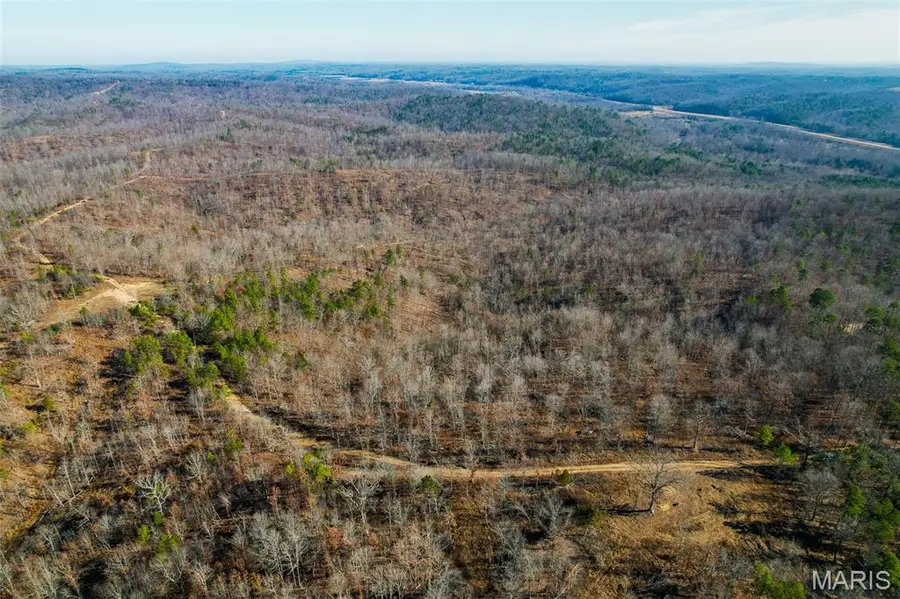 132 Madison Cr 411, Fredericktown, MO 63645 - Image #3