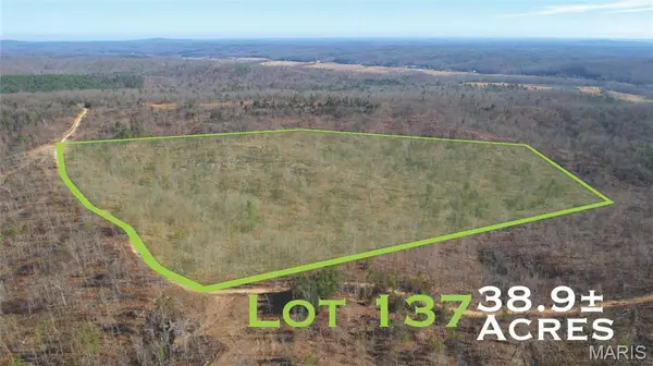 137 Madison Cr 411, Fredericktown, MO 63645