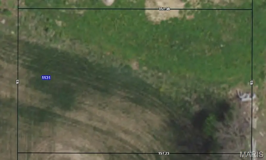 1131 Castle Green Drive, Waterloo, IL 62298 - Image #2