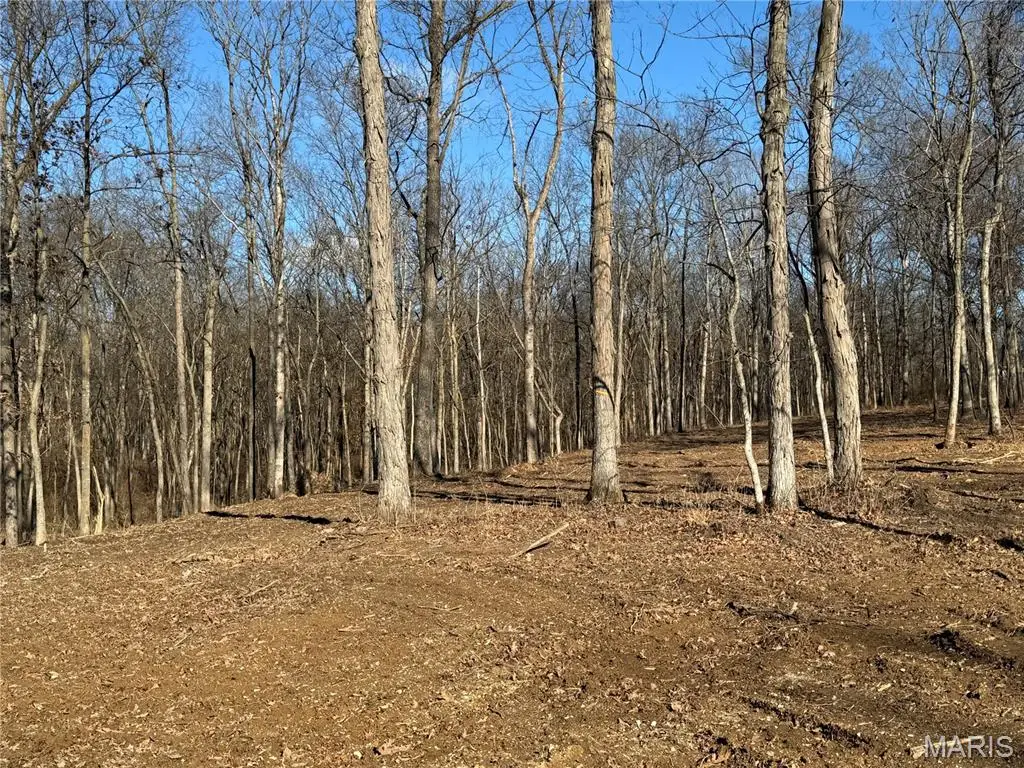 2988 Scott Road, Moscow Mills, MO 63362 - Image #1