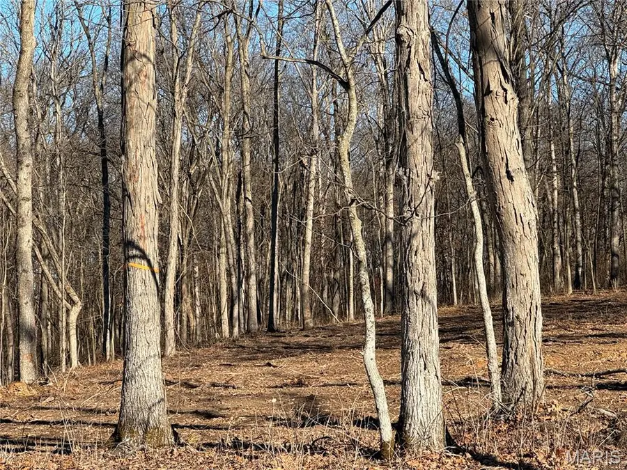 2988 Scott Road, Moscow Mills, MO 63362 - Image #2