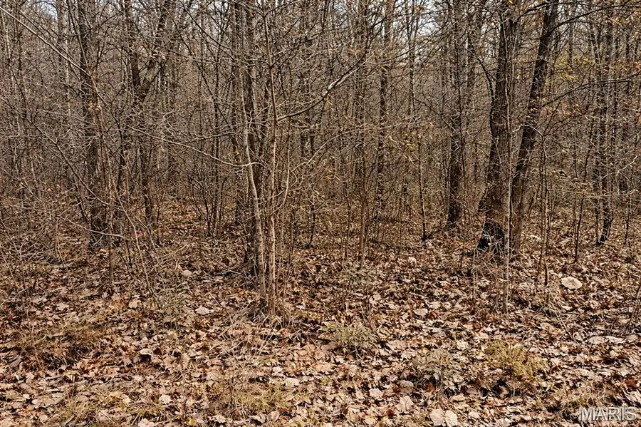 41 Sugar Creek Court, Troy, MO 63379 - Image #3