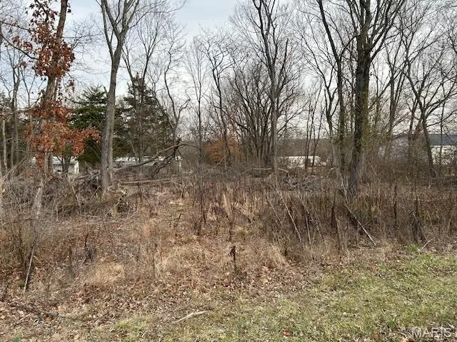 1 Grand Ave, Park Hills, MO 63601 - Image #2