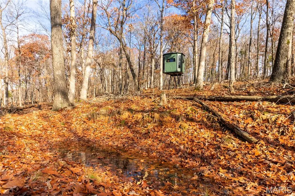 0 Big Tavern Creek Road, Portland, MO 65067 - Image #1