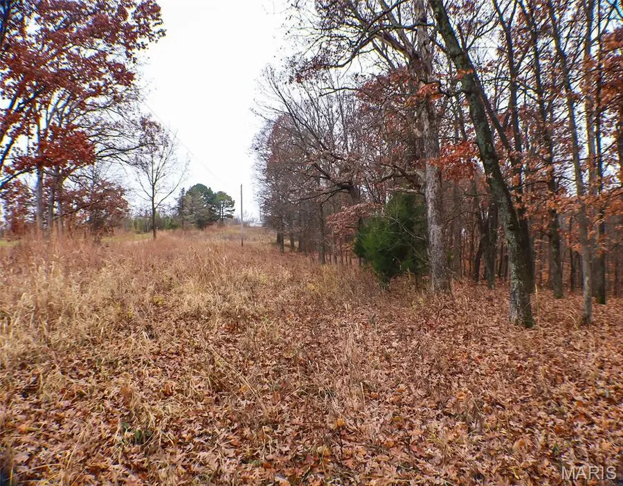 0 Big Tavern Creek Road, Portland, MO 65067 - Image #2