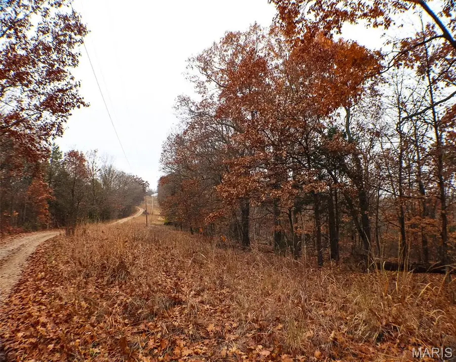 0 Big Tavern Creek Road, Portland, MO 65067 - Image #3