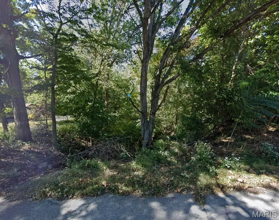 255 Dunklin Drive, Herculaneum, MO 63048 - Image #2