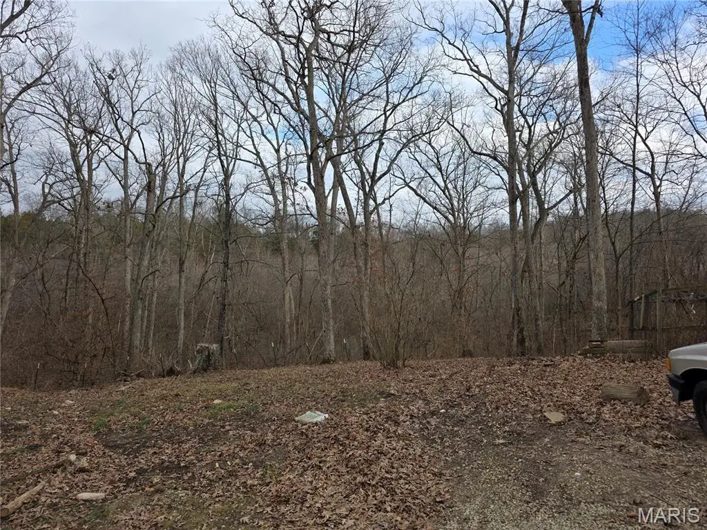 1695 Wade Road, Pacific, MO 63069 - #1