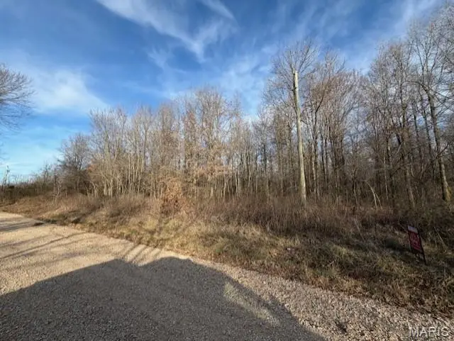 0 N County Road 338, Harviell, MO 63945 - Image #2