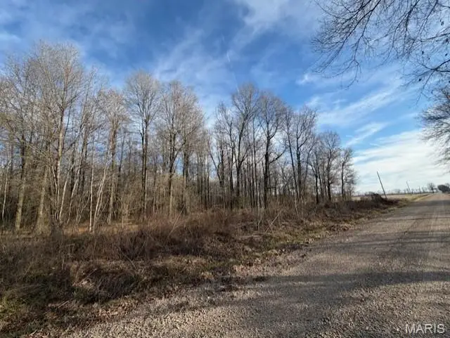 0 N County Road 338, Harviell, MO 63945 - Image #3