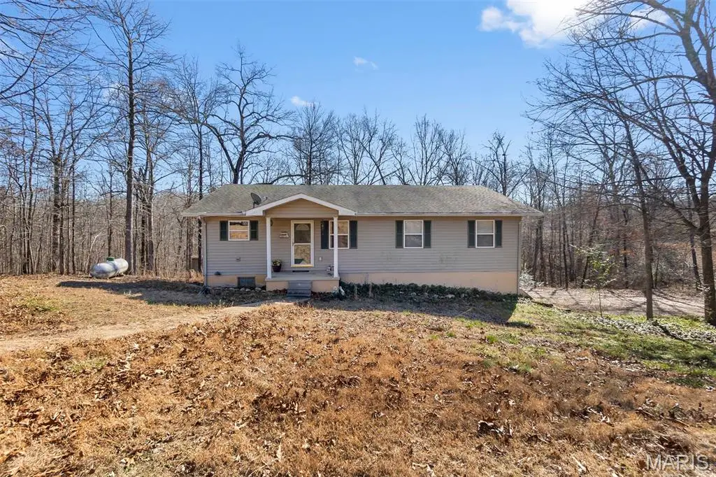28 Oak Drive, Wappapello, MO 63966 - Image #1