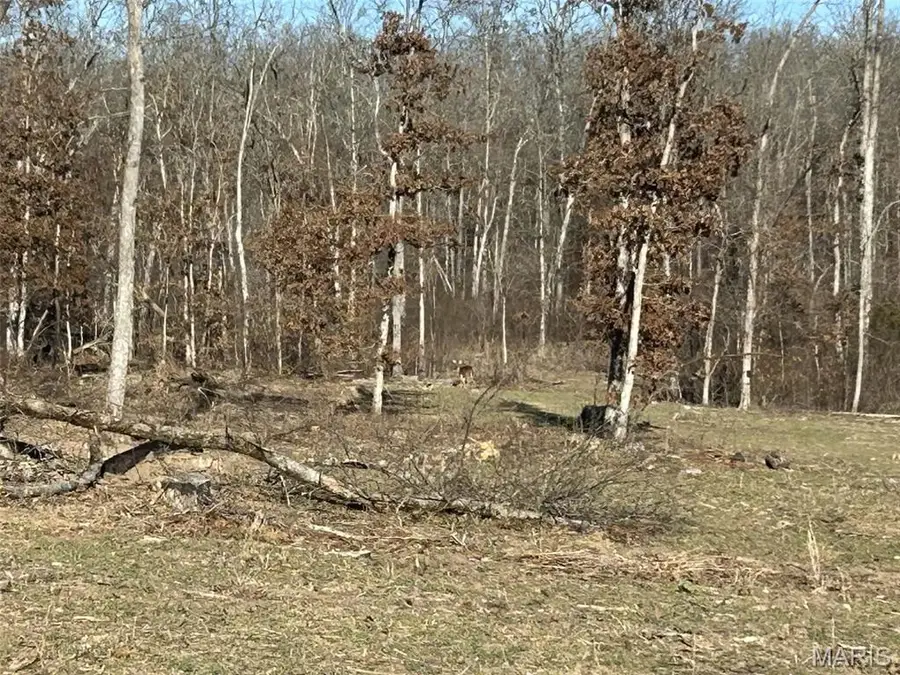 0 Kitchen Road, Leasburg, MO 65535 - Image #2