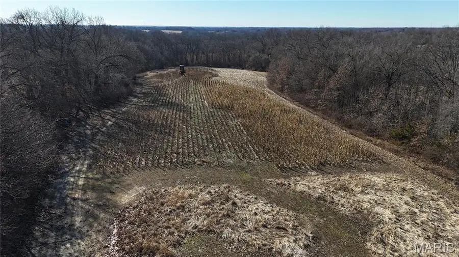 40+/- Pieper Road, Winfield, MO 63389 - Image #3