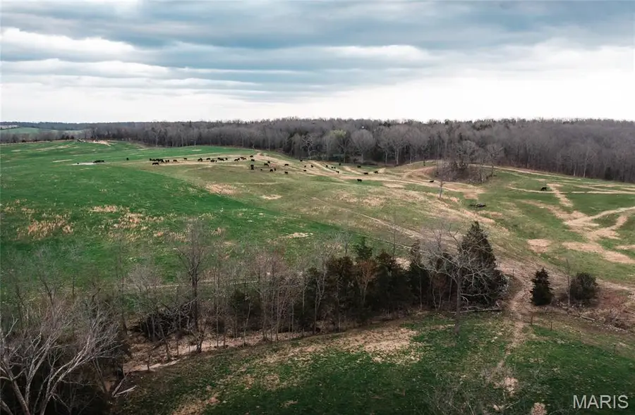 000 Kofhal Rd, Licking, MO 65542 - #3