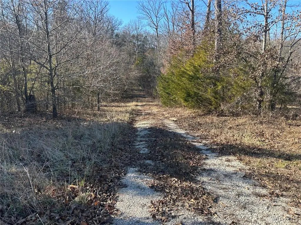 1029 Birch Drive, Lonedell, MO 63060 - Image #1