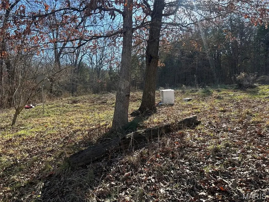 1029 Birch Drive, Lonedell, MO 63060 - Image #3