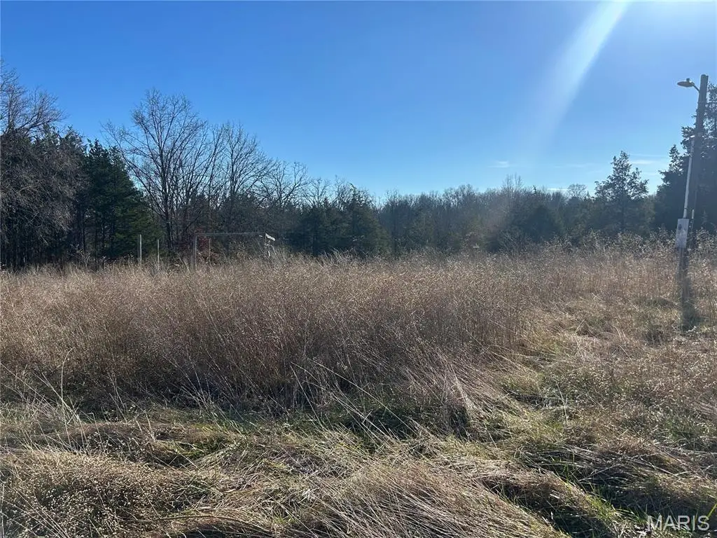 410 Nancy Drive, Lonedell, MO 63060 - Image #1