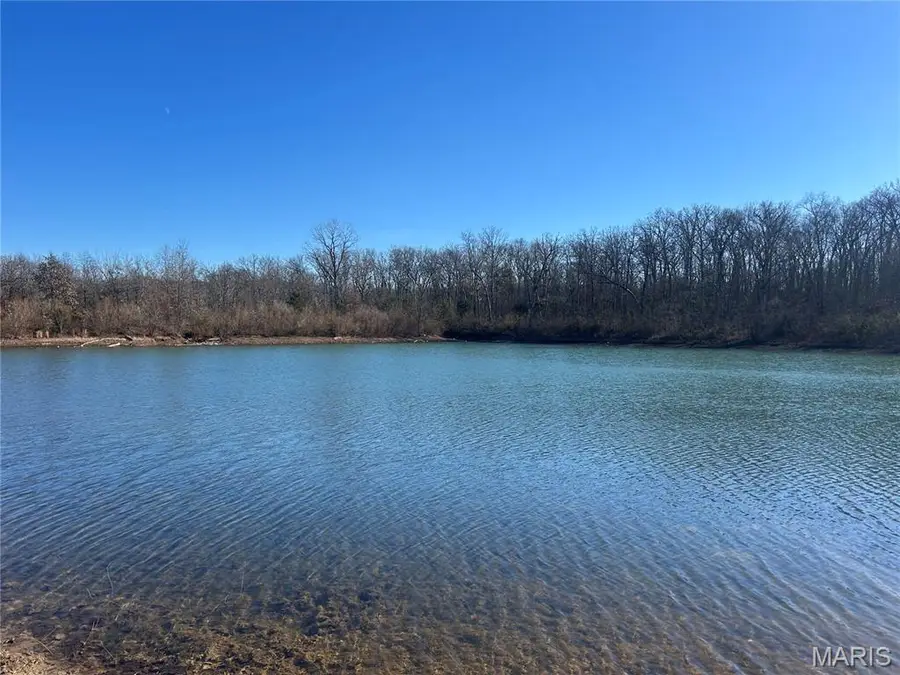 410 Nancy Drive, Lonedell, MO 63060 - Image #2