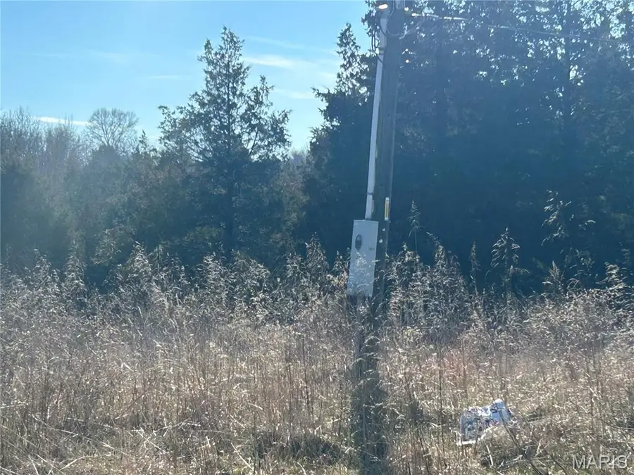 410 Nancy Drive, Lonedell, MO 63060 - Image #3