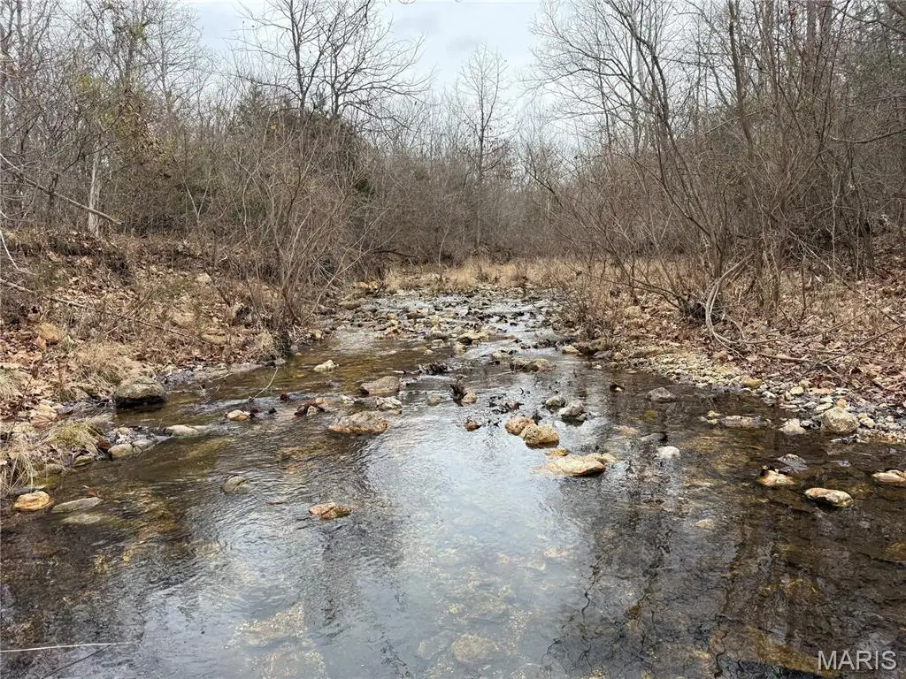 Tract 2 Madison 248, Fredericktown, MO 63645 - #1