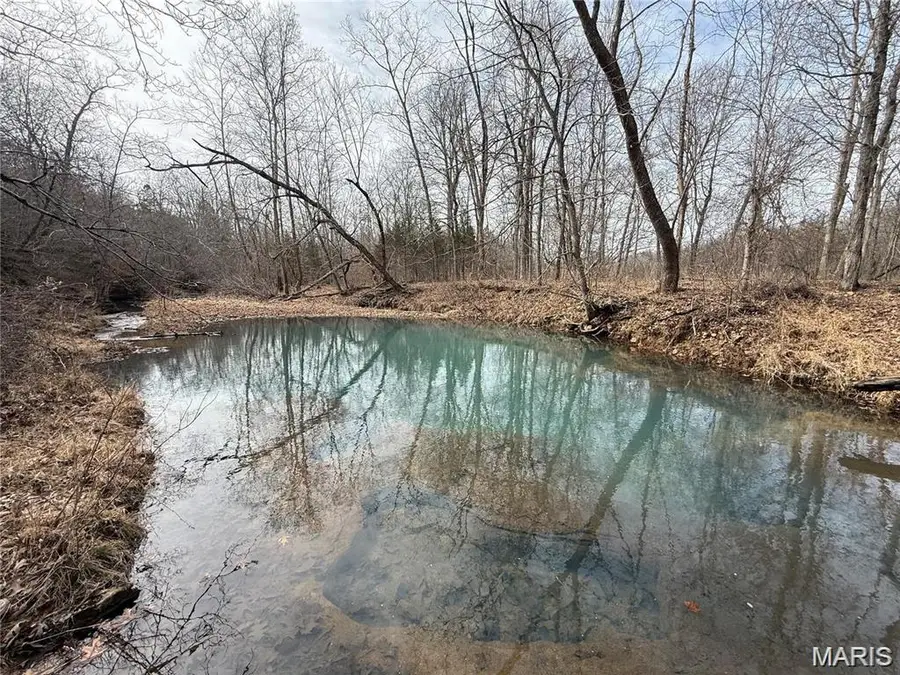 Tract 3 Madison 248, Fredericktown, MO 63645 - #3