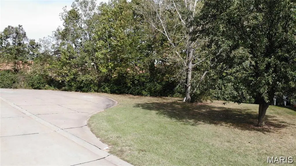 Blumhoff Blumhoff Avenue, Wentzville, MO 63385 - Image #1