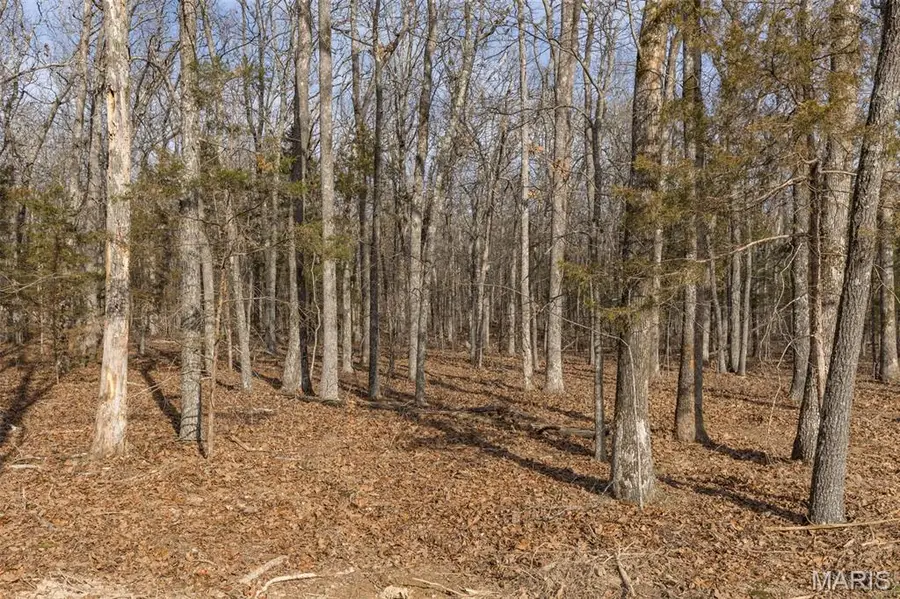 12.5+/- Acres On Effin Road, Doe Run, MO 63637 - Image #2