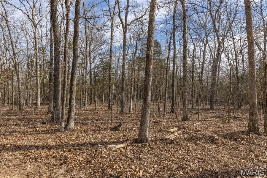 12.5+/- Acres On Effin Road, Doe Run, MO 63637 - Image #3