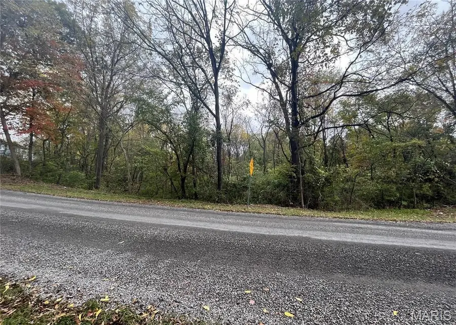 509 E Wilson Avenue, Gillespie, IL 62033 - Image #2