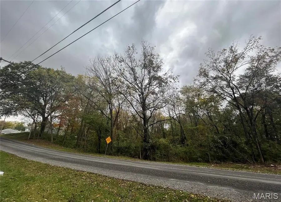 509 E Wilson Avenue, Gillespie, IL 62033 - Image #3