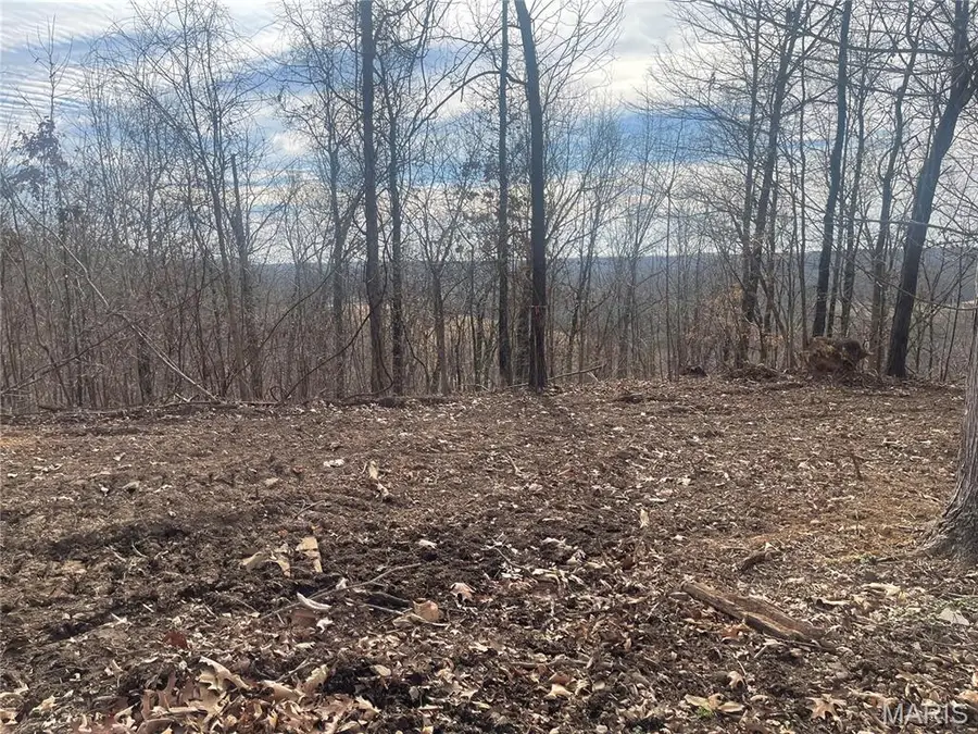 0 Highway W, Poplar Bluff, MO 63901 - Image #2