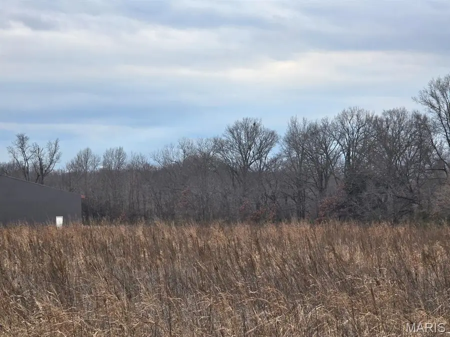 0 Two Mile Road, Dexter, MO 63841 - Image #3