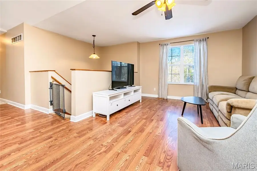 10249 Belew Creek Drive, Hillsboro, MO 63050 - #3