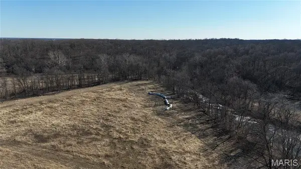 53+/- Acres Louisville Road, Bowling Green, MO 63334