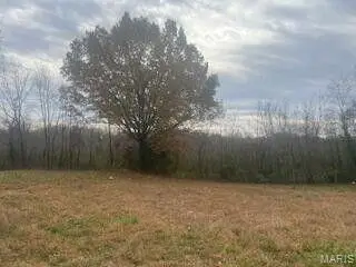 601 E 3rd Street, Mountain View, MO 65548 - #3