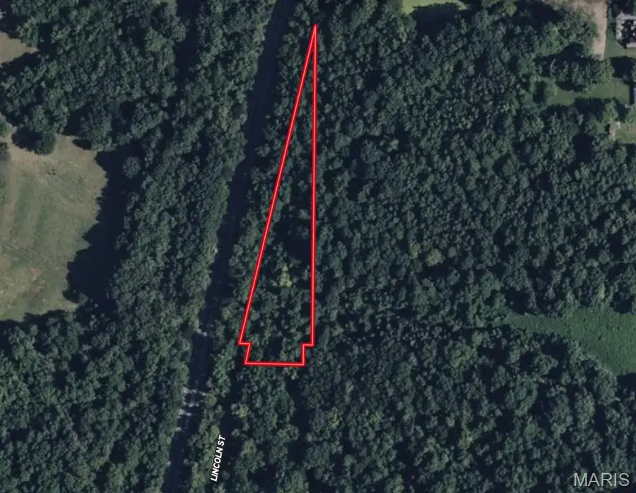 0 Lincoln Street, Mounds Precinct, IL 62964 - Image #2