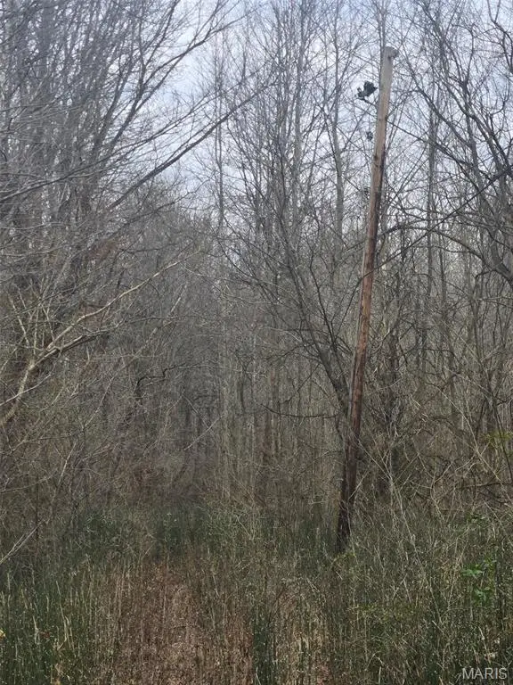 0 Lincoln Street, Mounds Precinct, IL 62964 - Image #3