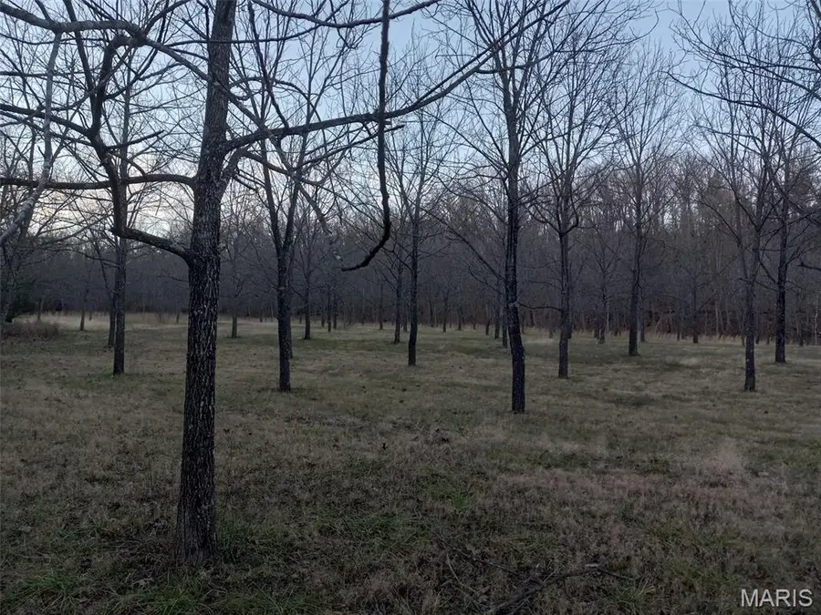 1100 Hattie Drive, Pierce, MO 65793 - #2