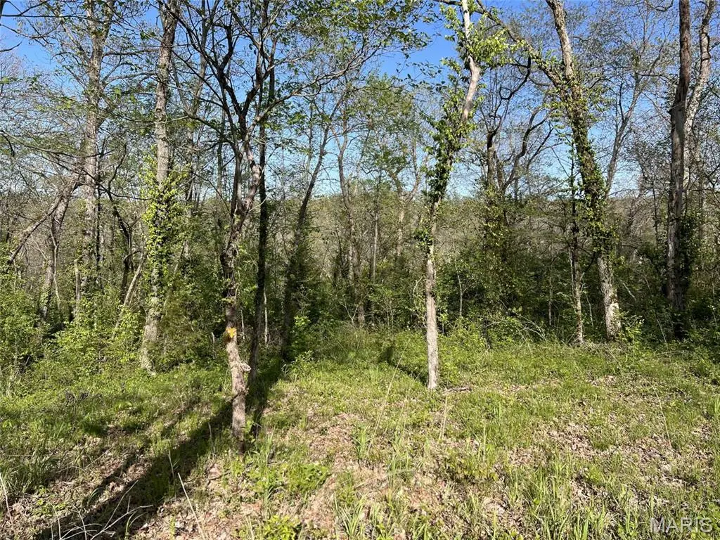 148 Jabin Farm Road, Wright City, MO 63390 - Image #1