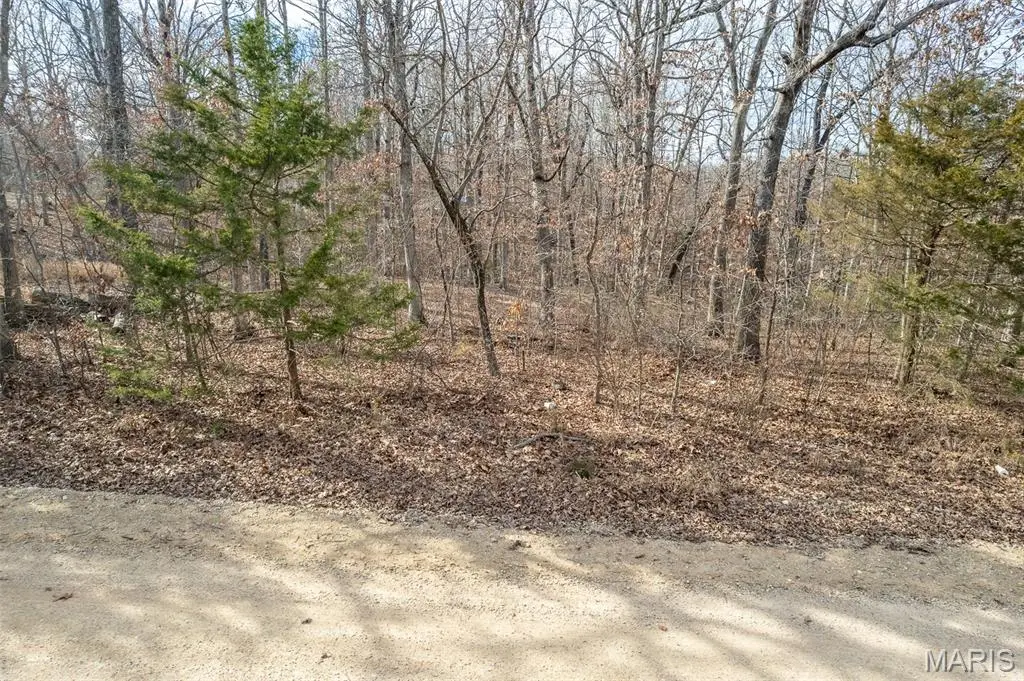 TBD Horizon Rd, Lebanon, MO 65536 - #1