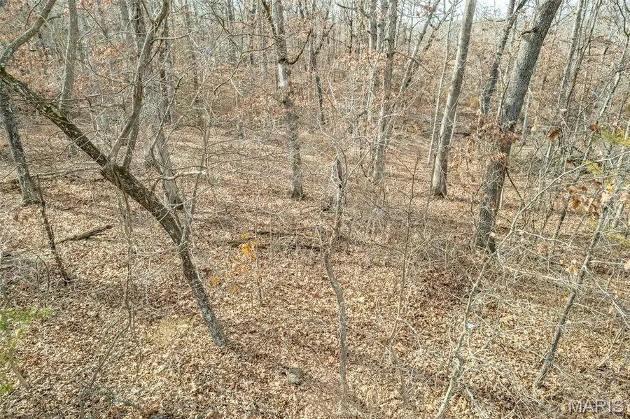 TBD Horizon Rd, Lebanon, MO 65536 - #3