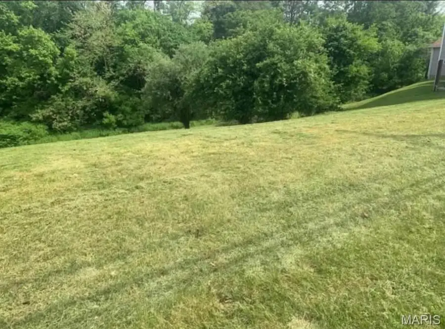 0 St Clair Avenue, Collinsville, IL 62234 - Image #3