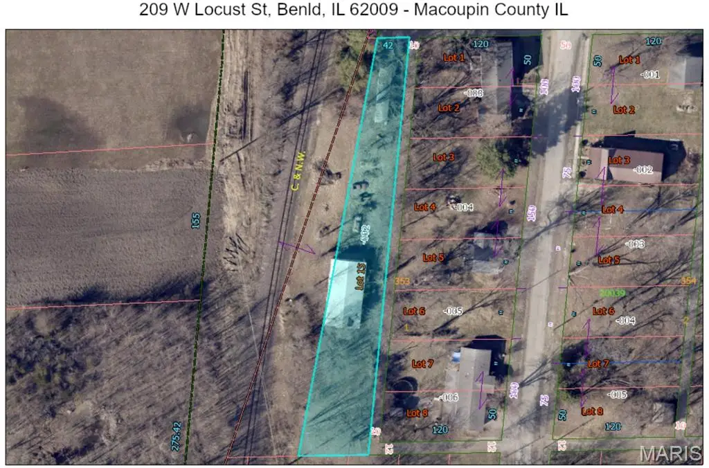 209 W Locust Street, Benld, IL 62009 - Image #1