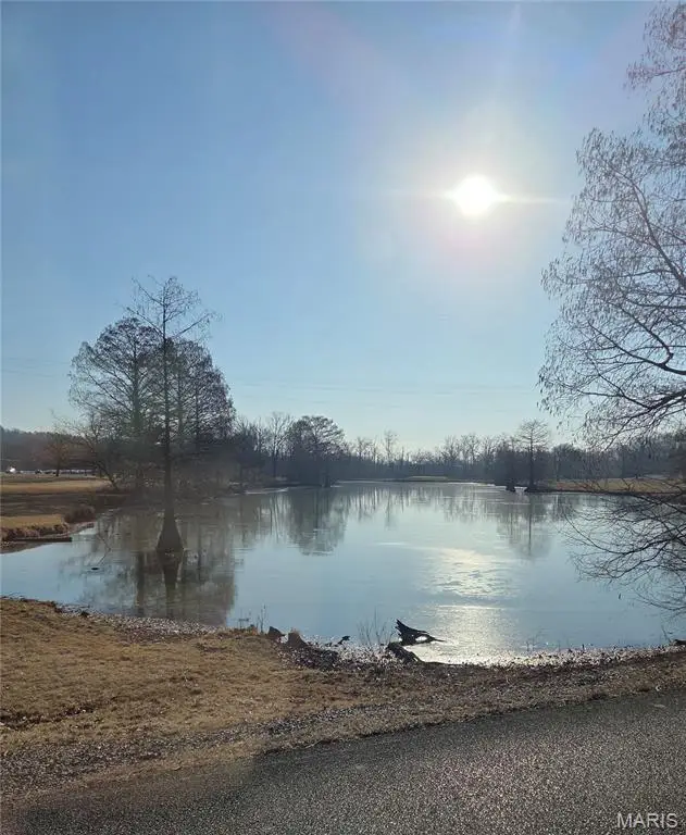 26662 Lakeview Terrace, Godfrey, IL 62035 - Image #3