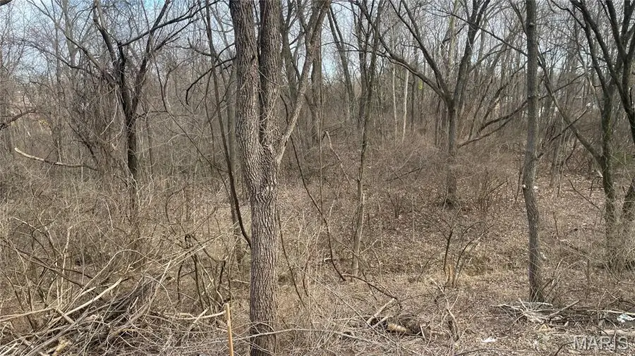 2555 Brush Court, Saint Louis, MO 63125 - Image #3