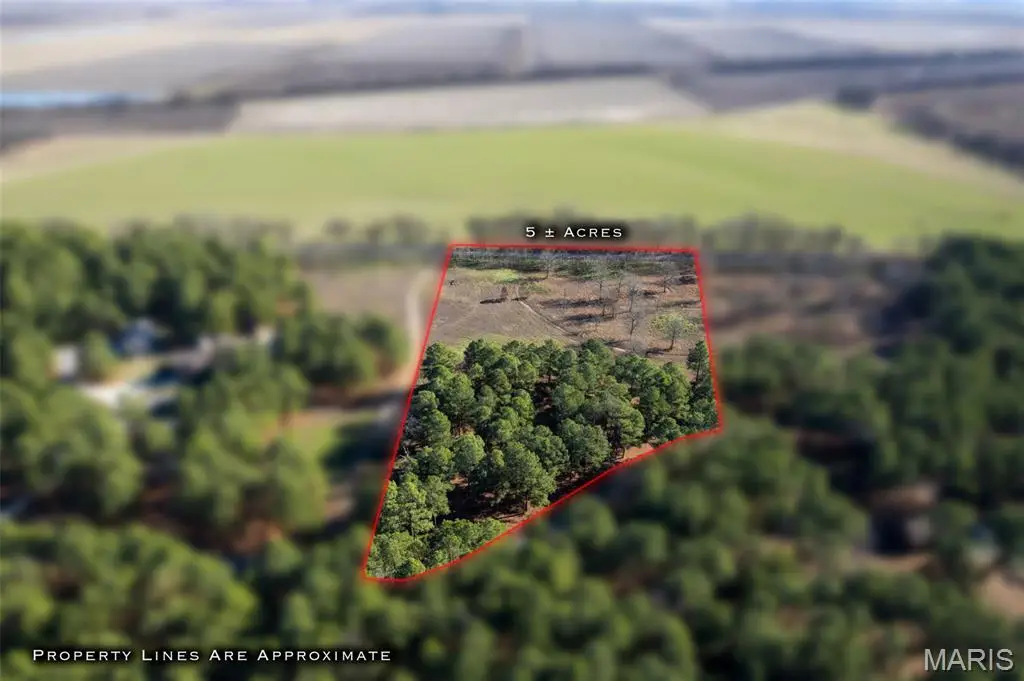 Lot 26 Ridgeway Circle, Benton, MO 63736 - Image #1