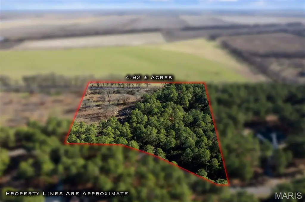 Lot 27 Ridgeway Circle, Benton, MO 63736 - Image #1