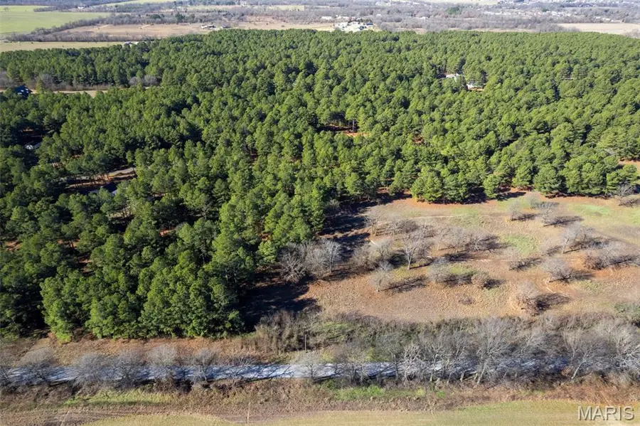 Lot 27 Ridgeway Circle, Benton, MO 63736 - Image #3