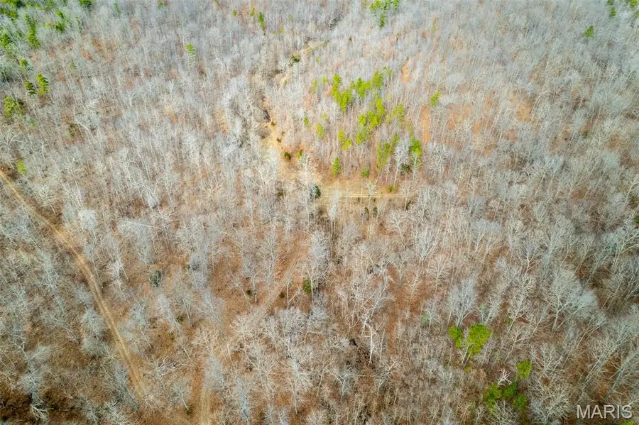 7030 Wayne 341, Piedmont, MO 63957 - Image #2